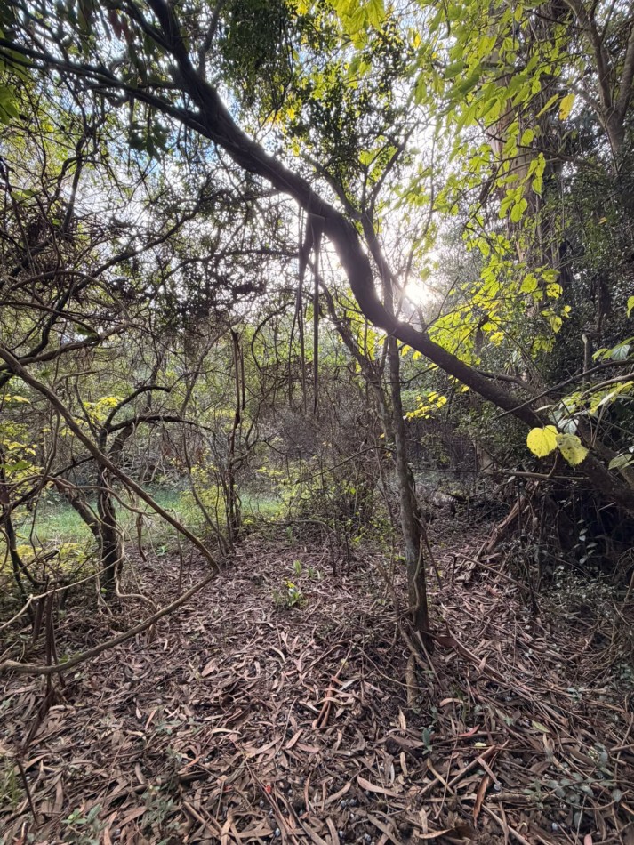 VENTA LOTE 10000M² - 1 HA - PUNTA INDIO