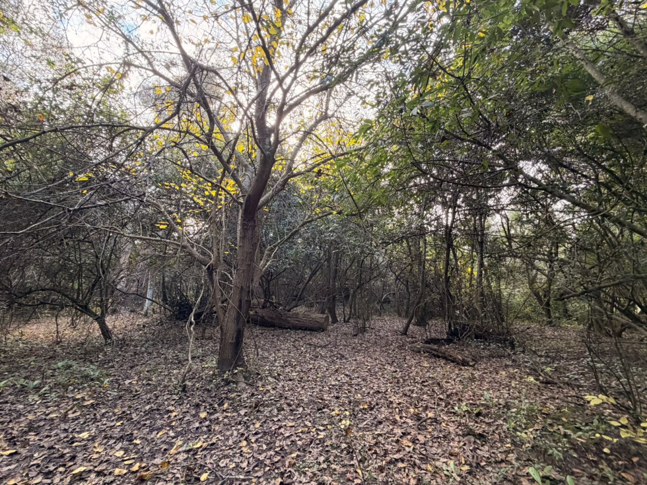 VENTA LOTE 10000M² - 1 HA - PUNTA INDIO