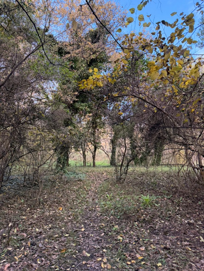 VENTA LOTE 10000M² - 1 HA - PUNTA INDIO
