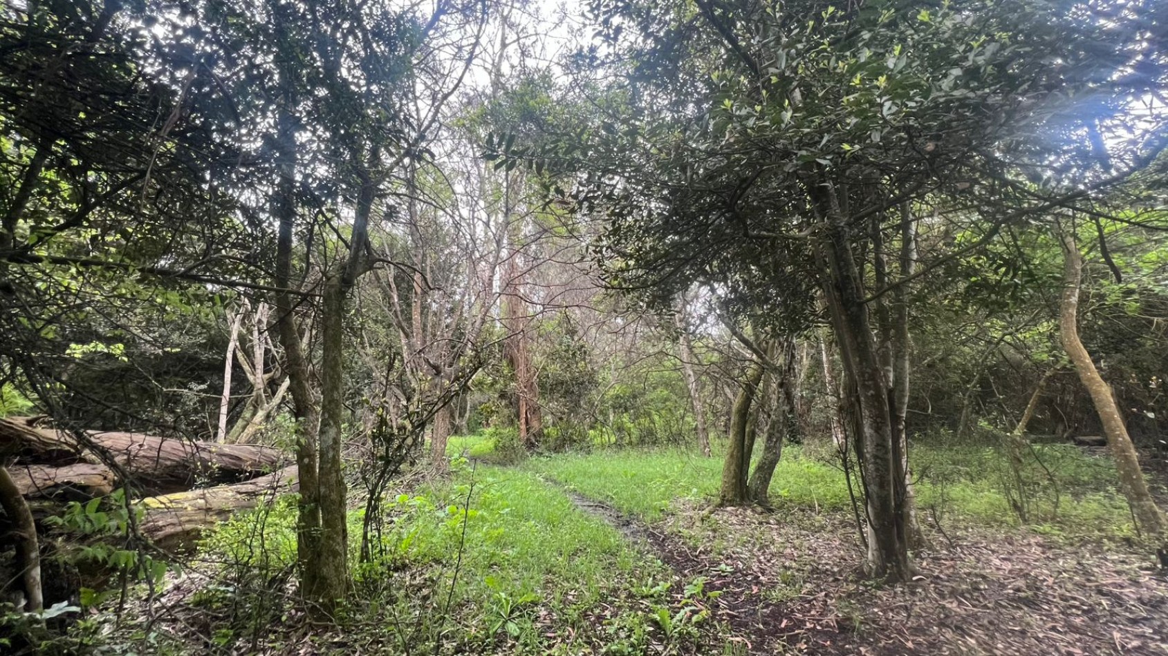 VENTA LOTE 10000M² - 1 HA - PUNTA INDIO