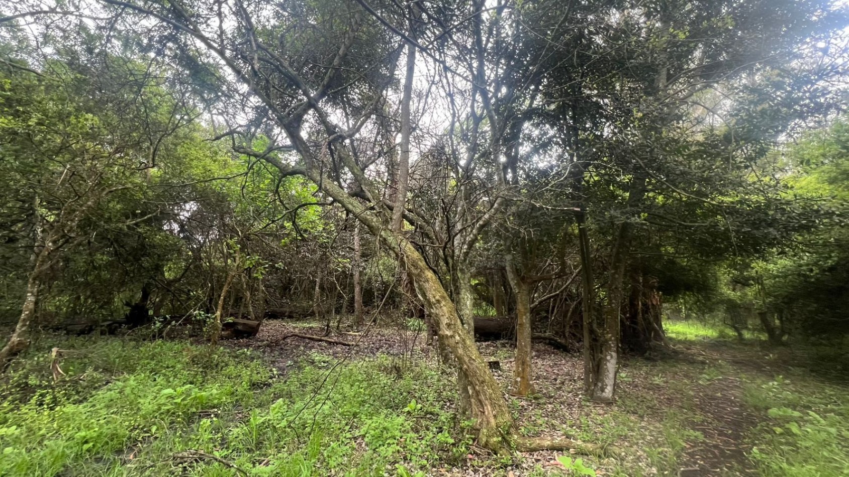 VENTA LOTE 10000M² - 1 HA - PUNTA INDIO