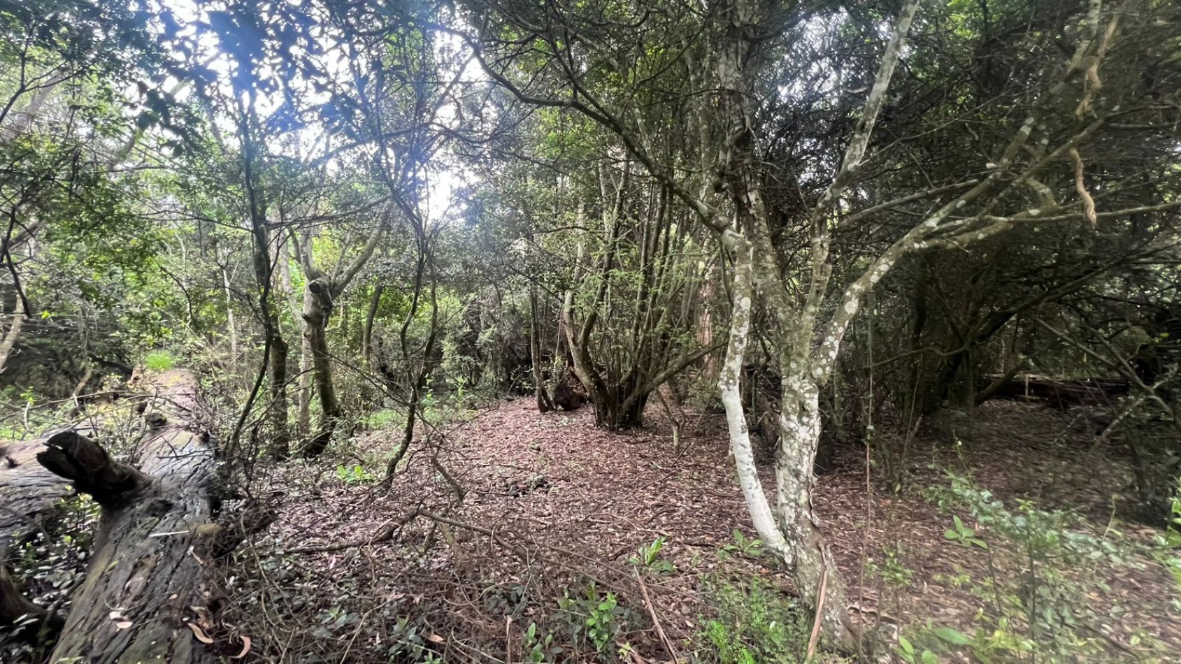 VENTA LOTE 10000M² - 1 HA - PUNTA INDIO