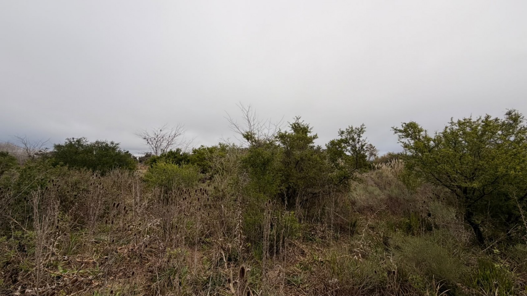 VENTA LOTES PUNTA INDIO T-822