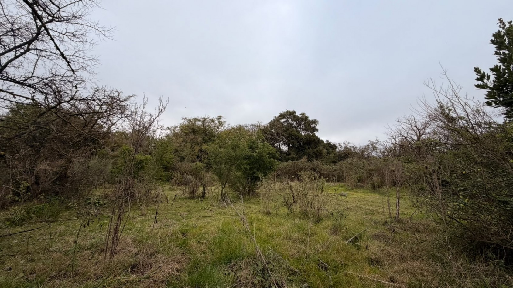 VENTA LOTES PUNTA INDIO T-822