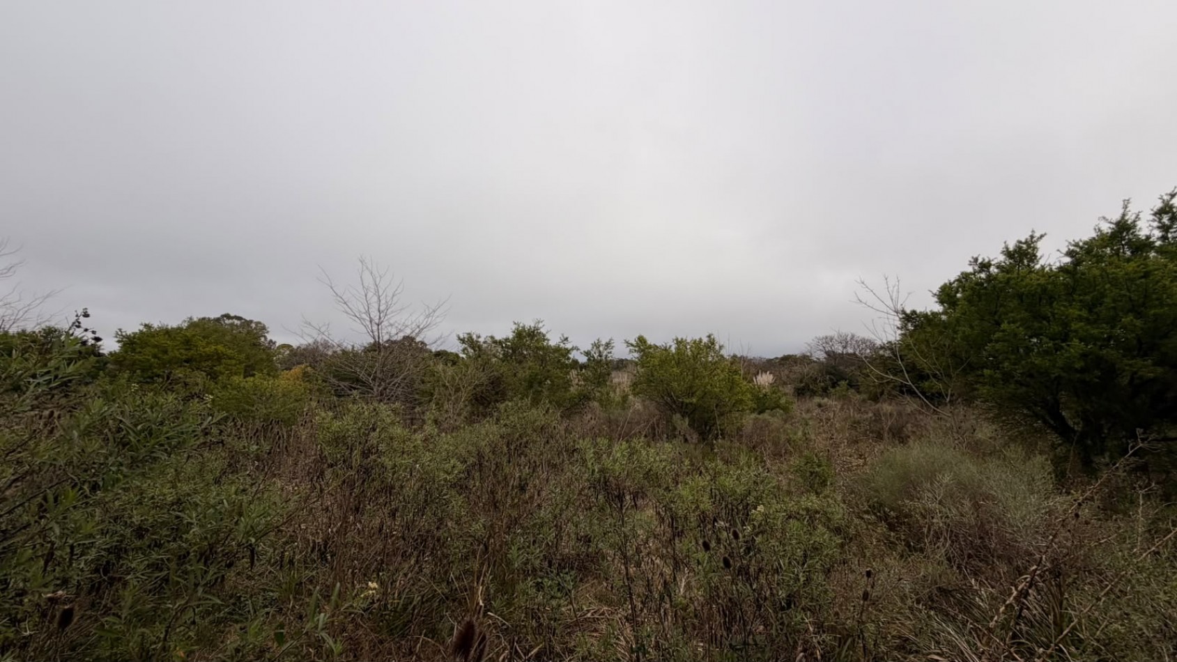 VENTA LOTES PUNTA INDIO T-822