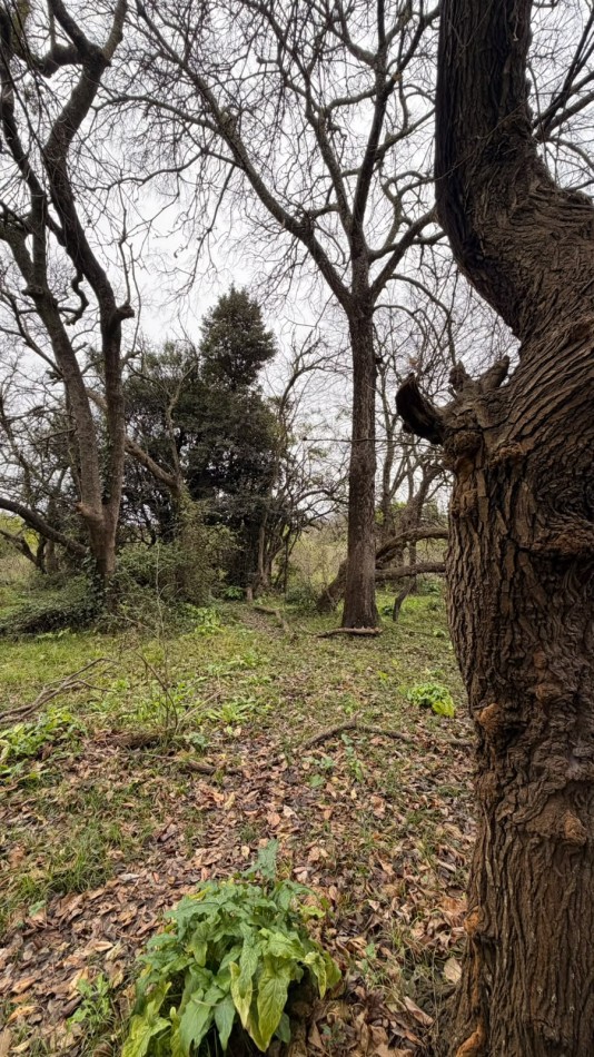 VENTA LOTES PUNTA INDIO T-822
