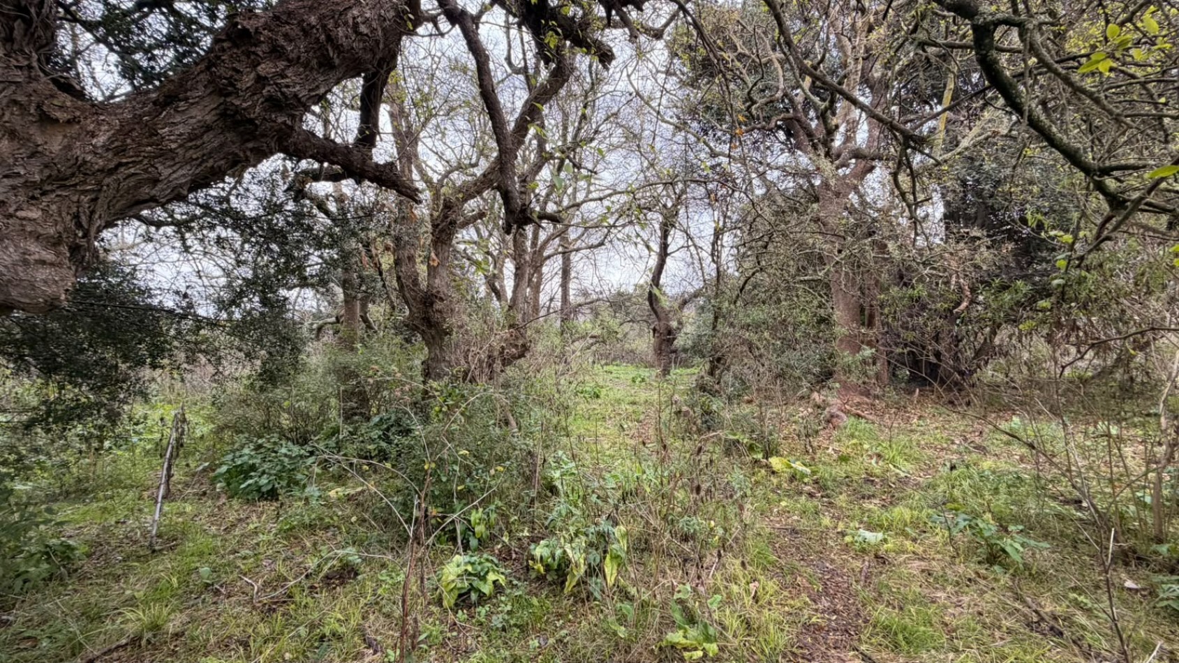 VENTA LOTES PUNTA INDIO T-822