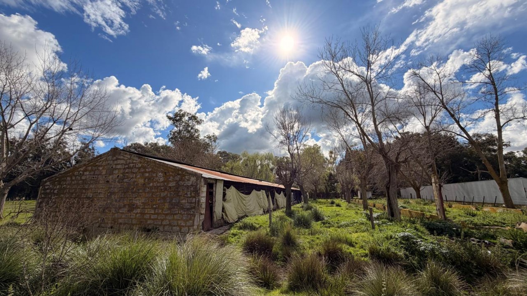 VENTA LOTE RURAL 6586M² - VERONICA