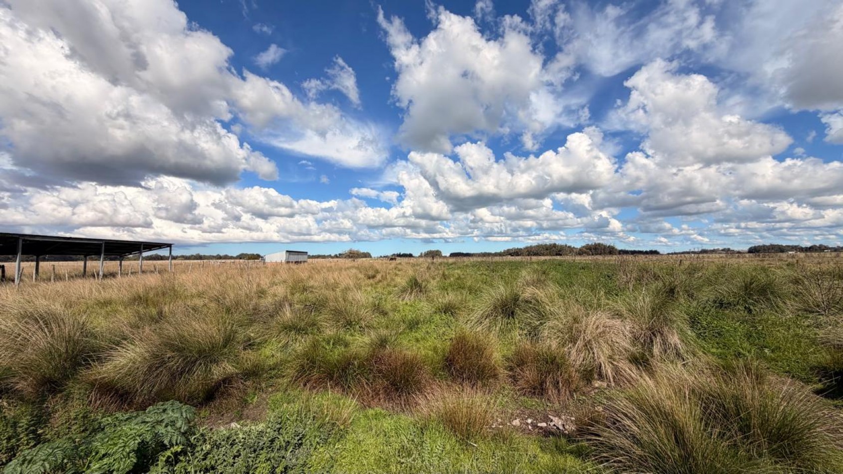 VENTA LOTE RURAL 6586M² - VERONICA