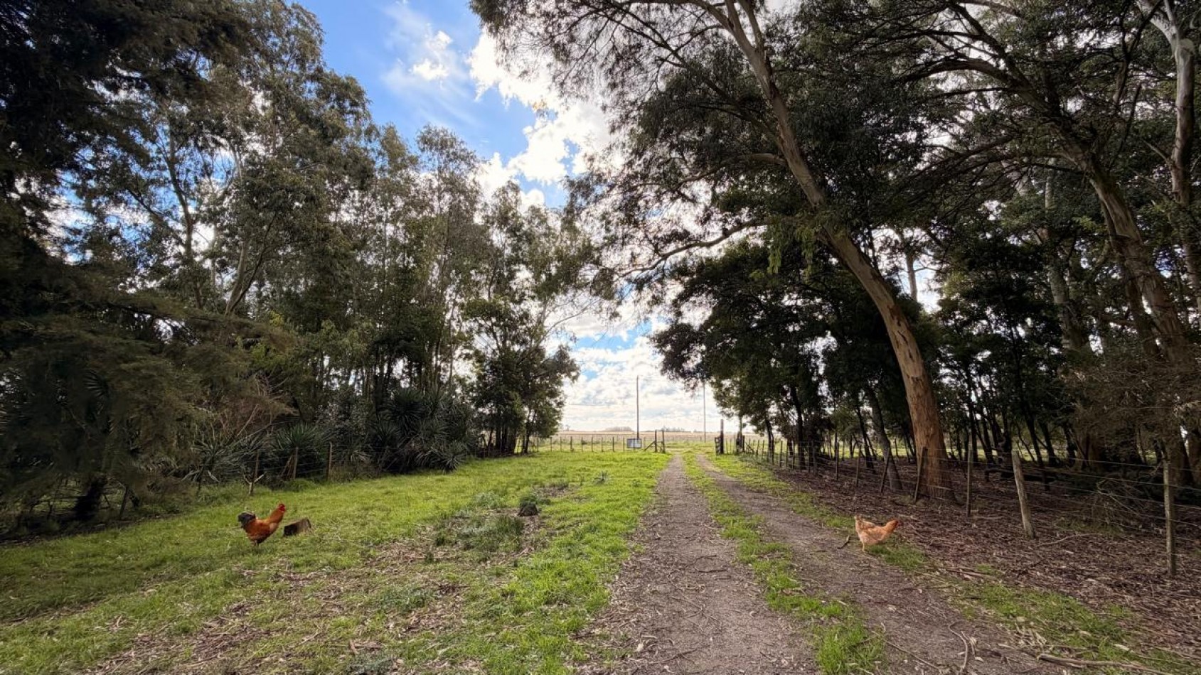VENTA LOTE RURAL 6586M² - VERONICA