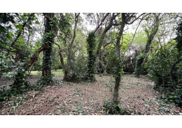 LOTE - VENTA - PUNTA DEL INDIO T-794