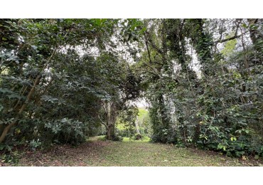 LOTE - VENTA - PUNTA DEL INDIO T-794