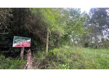 VENDE LOTE AMPLIO - 5.000 M² - PUNTA INDIO