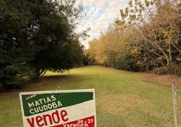 VENTA LOTE PUNTA INDIO