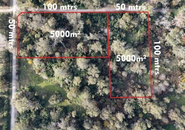 VENTA LOTE 10000M² - 1 HA - PUNTA INDIO